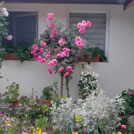 Villa Casa Luminita à Ieşelniţa Extérieur photo