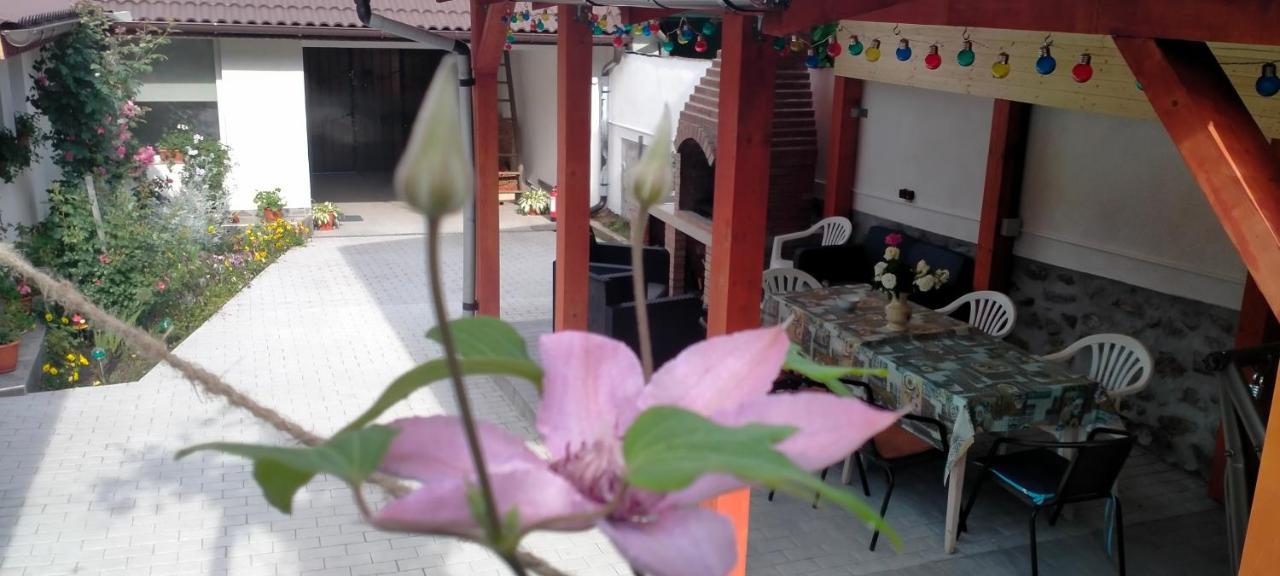 Villa Casa Luminita à Ieşelniţa Extérieur photo